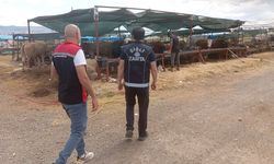 Çiğli'de Kurban Bayramı denetimleri aralıksız sürüyor