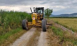 Efeler'de yol bakım ve onarım çalışmaları devam ediyor