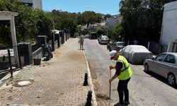 Bodrum'da ot temizliği devam ediyor