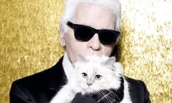 Lagerfeld'in kedisi mirasını 7 yıldır alamadı