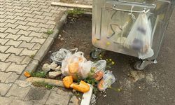 İsraf ve çevre kirliliği tepkiye neden oldu