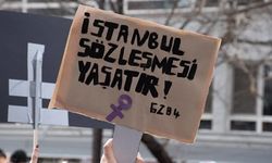 Asu Kaya'dan İstanbul Sözleşmesi açıklaması