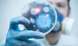 İngiltere'de salmonella alarmı: 207 vaka, 1 can kaybı