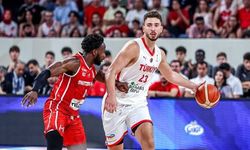 Vlade Divac'tan Alperen Şengün'e Övgü