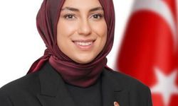 Amine Cansu Çelik CHP'den istifa etti