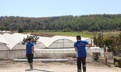 Seydikemer'de yangının yaraları sarılmaya başlandı