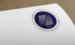SPK'den Özata Denizcilik kararı: 11 kişiye yasak