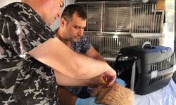 Can Dost'un yeni rotası belli oldu