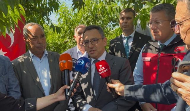 Ege'nin bereketli topraklarında 'altın hasat' başladı:
