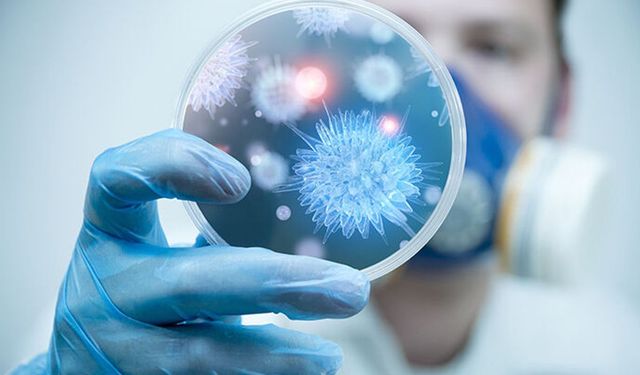 İspanya'da Hantavirüs alarmı: Testi pozitif çıktı