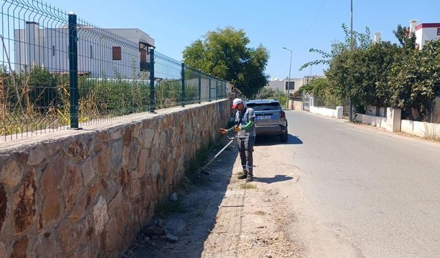 Bodrum'da ot temizliği çalışmaları sürüyor