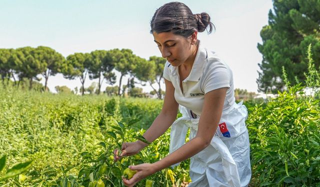 Osmangazi'de gençler gıdanın serüvenini deneyimledi