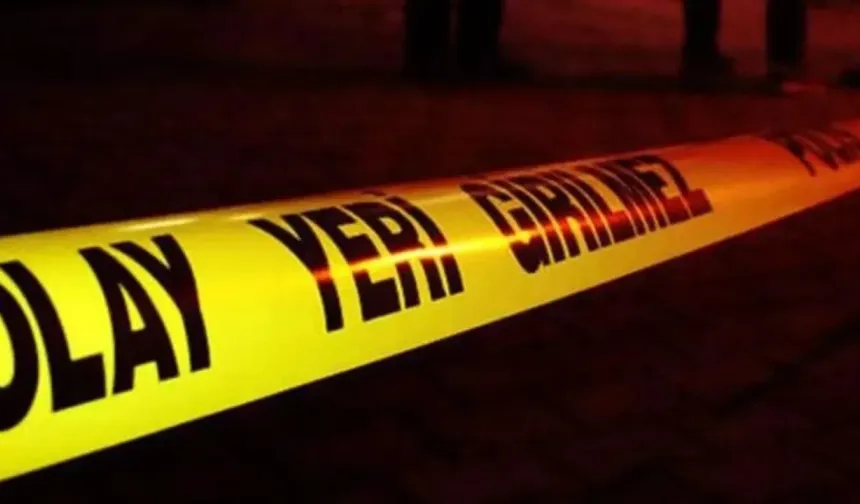 14 Yıllık Kayıp Portakal Bahçesinde Bulundu