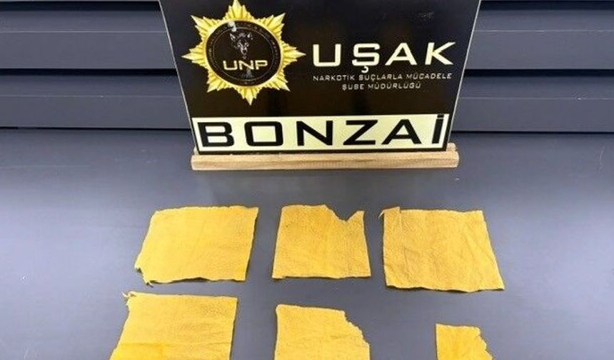 Uşak'ta uyuştur*cu operasyonunda 14 şüpheli tutuklandı