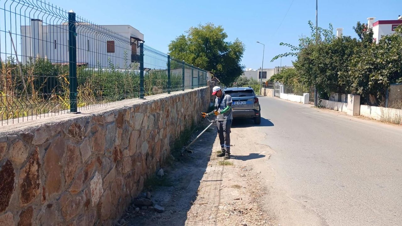 Bodrum'da ot temizliği çalışmaları sürüyor